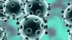 Breaking News HIGHLIGHTS: Karnataka Government To Screen Travelers From Three Coronavirus-Hit States