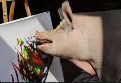 ਪੇਂਟਿੰਗ ਬਣਾ ਇਹ ਸੂਰ ਕਰ ਰਿਹਾ ਲੱਖਾਂ ਦੀ ਕਮਾਈ, ਬ੍ਰਿਟੇਨ ਦੇ ਪ੍ਰਿੰਸ ਹੈਰੀ ਤੇ ਰਾਣੀ ਐਲਿਜ਼ਾਬੈਥ ਦਾ ਵੀ ਬਣਾ ਚੁੱਕਾ ਚਿੱਤਰ