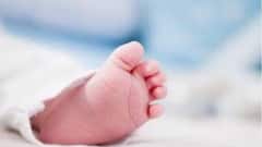 West Bengal Election 2021: বল ভেবে খেলতে গিয়ে বর্ধমানে বোমা ফেটে মৃত্যু শিশুর