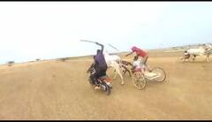 कवठेमहांकाळ तालुक्यातील बैलगाडी शर्यती घेणाऱ्या सात जणांविरुद्ध गुन्हा दाखल