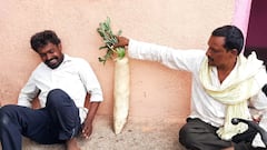 Buldhana | अबब...! कधी पाहिला का? तब्बल 9 किलोचा 'मुळा'