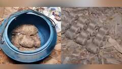 Fresh Bomb Recovered: ভোটের মুখে ভাঙড় থেকে উদ্ধার ২১টি তাজা বোমা!