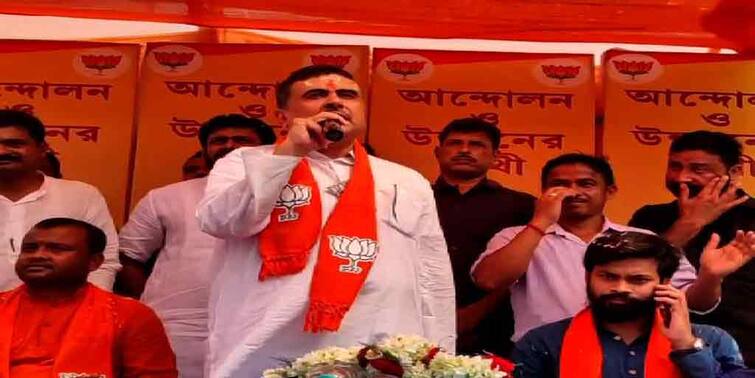 West Bengal Election 2021: BJP Suvendu Adhikari attacks TMC with Pakistan in Nandigram ahead of election WB Election 2021: বাংলার নির্বাচনে পাকিস্তান প্রসঙ্গ শুভেন্দুর, পাল্টা আক্রমণ তৃণমূলের