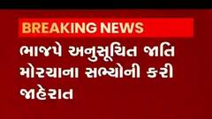 ભાજપે અનુસુચિત જાતિ મોરચાના સભ્યોની કરી જાહેરાત, જુઓ વીડિયો
