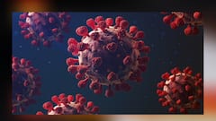 Coronavirus update: করোনা সংক্রমণ নিয়ন্ত্রণে রাজ্যগুলিকে নয়া নির্দেশিকায় কী জানাল কেন্দ্র?