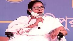 West Bengal Election 2021: 'ভারত সরকারের গাড়িতে স্ট্যাম্প লাগিয়ে টাকা ছড়াচ্ছে কেউ কেউ', BJP-র বিরুদ্ধে বিস্ফোরক অভিযোগ Mamata-র