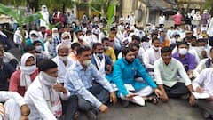 अकोल्यातील केळी उत्पादकांच्या विम्याचा प्रश्न मार्गी, रविकांत तुपकरांच्या आंदोलनानं सूत्रं हलली