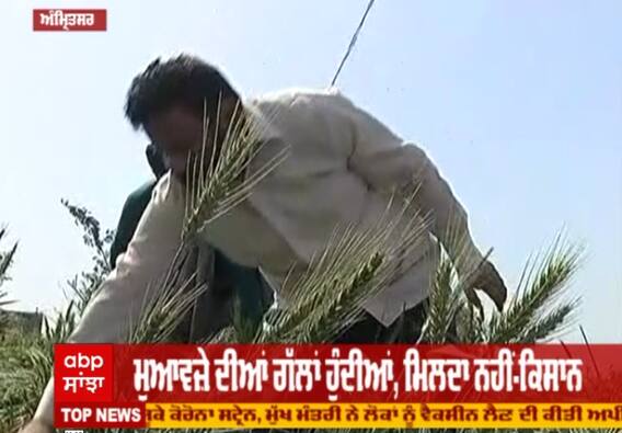 ਧੀਆਂ ਪੁੱਤਾਂ ਵਾਂਗੂ ਪਾਲੀ ਫਸਲ 'ਤੇ ਟੁੱਟਿਆ ਕਹਿਰ