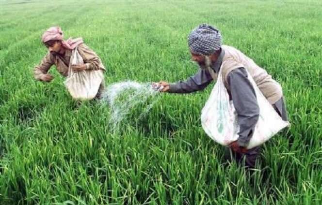 Breaking news for farmers increase in fertilizer prices on the eve of Rabi season sowing Fertilizer : शेतकऱ्यांसाठी चिंताजनक बातमी, रब्बी हंगामाची पेरणीच्या तोंडावर खतांच्या किंमतीत वाढ
