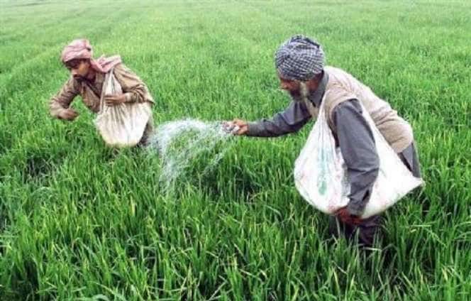 Cabinet approves ₹28,655 crore fertilizer subsidy for rabi season Fertilizer Subsidy: ਕੇਂਦਰ ਸਰਕਾਰ ਵੱਲੋਂ ਖਾਦਾਂ 'ਤੇ 28,655 ਕਰੋੜ ਦੀ ਸਬਸਿਡੀ ਦਾ ਐਲਾਨ