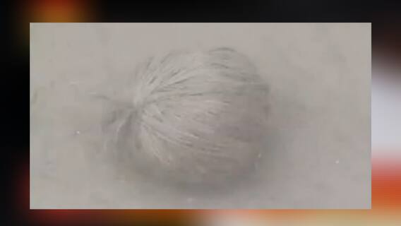 West Bengal Election 2021: ভোটের মুখে নানুরে মিলল ড্রামভর্তি বোমা