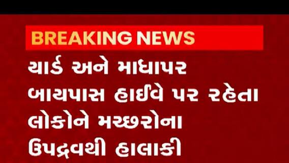 રાજકોટના આ વિસ્તારમાં ગાંડીવેલના કારણે મચ્છરોનો ત્રાસ, જુઓ વીડિયો