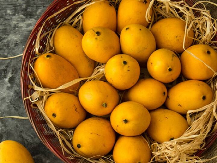 How to identify real Alphonso mango Know how to identify artificially ripened mangoes know 5 tips in Marathi Health Updates केमिकल्सनी पिकवलेला आंबा कसा ओळखायचा? 'हे' 5 सोपे उपाय