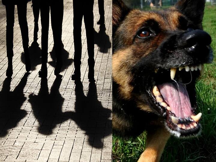 Dogs left on NCB officials who came to raid drug peddlers in Mumbai धाड टाकण्यासाठी आलेल्या एनसीबीच्या अधिकार्‍यांवर सोडले कुत्रे! 19 वर्षीय ड्रग्ज पेडलरला अटक