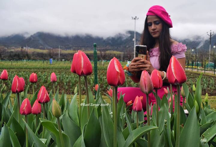 Lovely Kashmir Tulip Garden