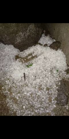 In Pics | अवकाळीचा तडाखा;  जालन्यात गारपिटीसह पाऊस, द्राक्ष बागांचे नुकसान