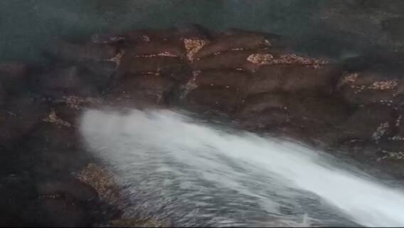 રાજકોટના ઉમવાડા રોડ પર મગફળીના ગોડાઉનમાં લાગી આગ, જુઓ વીડિયો