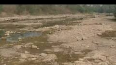 નવસારીના વાસંદામાં કરોડોના ખર્ચે બનાવાયેલા ચેકડેમ શોભાના ગાંઠિયા સમા,જુઓ વીડિયો