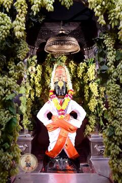 In Pics | आमलकी एकादशीनिमित्त विठुरायाच्या मंदिराला द्राक्षे आणि फुलांची आकर्षक सजावट