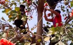 महाराष्ट्र शासनाच्या ऑनलाइन स्वाध्याय उपक्रमाला ग्रामीण भागात खोडा!