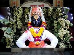 In Pics | आमलकी एकादशीनिमित्त विठुरायाच्या मंदिराला द्राक्षे आणि फुलांची आकर्षक सजावट