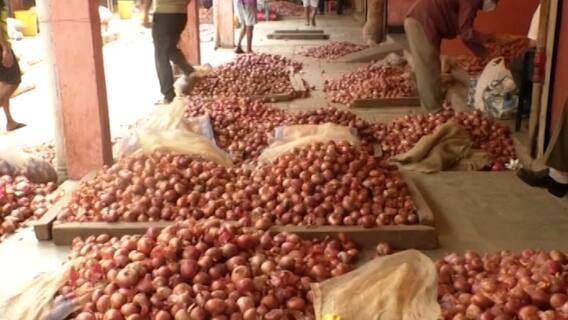 કોરોનાના કહેરને પગલે સૌરાષ્ટ્રના વધુ બે માર્કેટિંગ આગામી 5 દિવસ રહેશે બંધ, જાણો કયા છે આ બે માર્કેટ? કોરોનાના કહેરને પગલે સૌરાષ્ટ્રના વધુ બે માર્કેટિંગ આગામી 5 દિવસ રહેશે બંધ, જાણો કયા છે આ બે માર્કેટ?