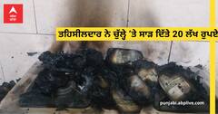 ਛਾਪਾ ਮਾਰਨ ਆਈ ਟੀਮ ਨੂੰ ਵੇਖ ਤਹਿਸੀਲਦਾਰ ਨੇ ਚੁੱਲ੍ਹੇ ’ਚ ਸਾੜ ਦਿੱਤੇ 20 ਲੱਖ ਰੁਪਏ