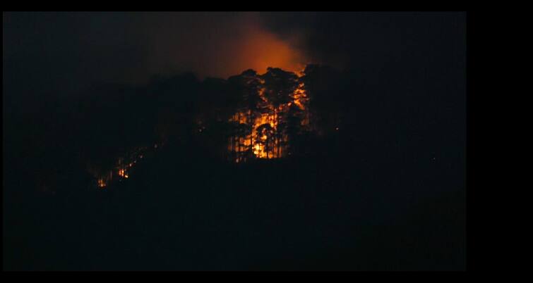 Kodaikanal, which burns with the onset of summer கோடை துவங்கியதும் கொழுந்துவிட்டு எரியும் கொடைக்கானல்
