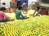 कोरोनामुळे दुसऱ्या वर्षीही हापूस आंबाच्या निर्यातीला फटका; आंतरराष्ट्रीय विमानसेवा बंद असल्यानं कोट्यवधींची निर्यात रोडावली