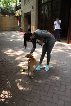 Photos: Malaika Arora Pets A Dog Post Her Gym Class!