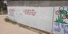 WB Election 2021: দেওয়াল তুমি কার? জেলায় জেলায় দখলের অভিযোগ, তুঙ্গে তরজা