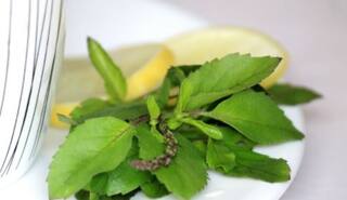 Immunity Boosters: ફરી વધી રહ્યો છે કોરોનાનો કહેર, આ ચીજોને કરો આહારમાં સામેલ, ઈમ્યૂનિટી થશે મજબૂત