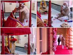 'India To Build Community Centre At Jeshoreshwari Kali Temple', Says PM Modi In Bangladesh