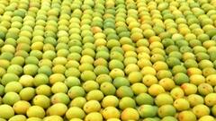 Benefits of Mango: जानिए- आम के पांच अविश्वसनीय फायदे, और  गर्मी में आपको क्यों खाना चाहिए आम!