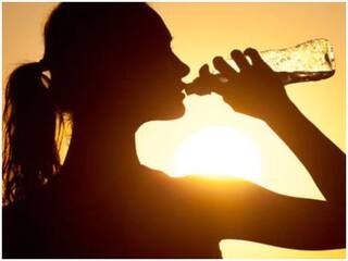Summer Tips: ગરમીની સિઝનમાં ઠંડુ પાણી પીવાનું પસંદ કરો છો તો સાવધાન, થઇ શકે છે આ નુકસાન