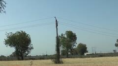 મહેસાણાઃ ખેતરમાં આગ લાગતા પાકને નુકસાન, જુઓ વીડિયો