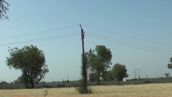 મહેસાણાઃ ખેતરમાં આગ લાગતા પાકને નુકસાન, જુઓ વીડિયો