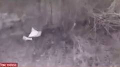 West Bengal Election 2021: কুলটিতে ব্যাগ ভর্তি বোমা উদ্ধার