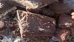 કચ્છના મોટા રણમાં ગુલાબી ધોમડા પક્ષીના ઇંડાને નુકસાન, જુઓ વીડિયો