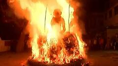 होलिका दहन में भूलकर भी न करें इन पेड़ों की लकड़ियों का इस्तेमाल, पड़ता है बुरा असर, नाराज हो जाते हैं भगवान