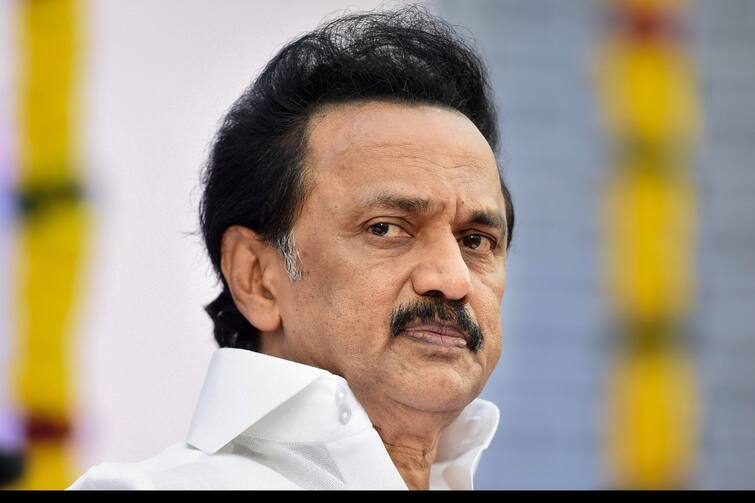rahul make alliance for india - mk stalin மதச்சார்பற்ற கூட்டணிக்கு ராகுல் காந்தி தலைமையேற்க வேண்டும்  - மு.க ஸ்டாலின் வேண்டுகோள்..