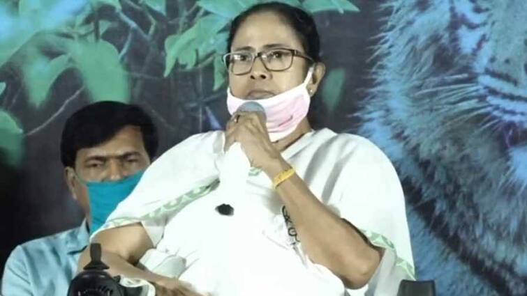WB Election 2021: Mamata accepts calling to BJP candidate Pralay Pal but protest for going viral WB Election 2021: প্রলয় পালকে ফোন করার কথা মানলেন মমতা বন্দ্যোপাধ্যায়