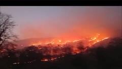 પંચમહાલના જાંબુઘોડા અભ્યારણ્યના આ બીટમાં લાગી ભીષણ આગ,જુઓ વીડિયો