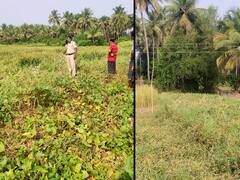 Sindhudurg | डुक्कर मारण्यासाठी लावलेल्या विजेच्या फासकीत सिंधुदुर्गातील पिता, पुत्राचा शॉक लागून जागीच मृत्यू