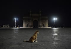 Maharashtra Corona প্রস্তুত থাকুন! কেন লকডাউনের প্রস্তুতি নিতে বললেন মুখ্যমন্ত্রী