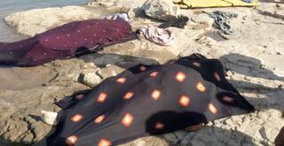 Rajkot:  ત્રંબામાં ધુળેટી રમ્યા બાદ નદીમાં ન્હાવા પડેલા બે યુવાનના ડૂબી જતાં મોત