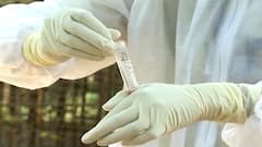 आरोग्य यंत्रणांसमोर आव्हान, बेड्स,व्हेंटिलेटर कमी पडत असल्याने मृत्यूदर वाढण्याची टास्क फोर्सला भीती