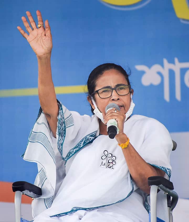 ৬৬ বছরের মমতা হলফনামায় জানিয়েছেন, ২০১৯-২০ অর্থবর্ষে তাঁর মোট আয় ছিল ১০ লক্ষ ৩৪ হাজার ৩৭০ টাকা।