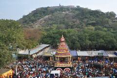 விமரிசையாக நடந்த பழனி முருகன் கோவில் பங்குனி உத்திர தேரோட்டம்..