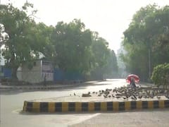 IN PICS | Streets Deserted, Shops Closed, Holi Milan At Home; This Is How India Looked In Holi 2021